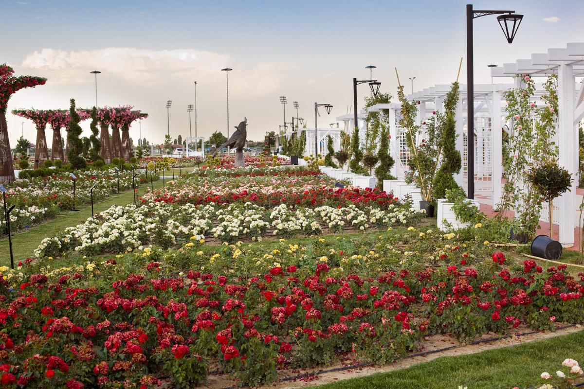 Karatay Mevlana Gül Parkı