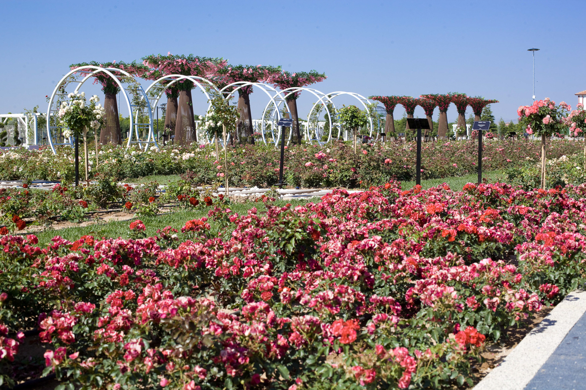 Karatay Mevlana Gül Parkı