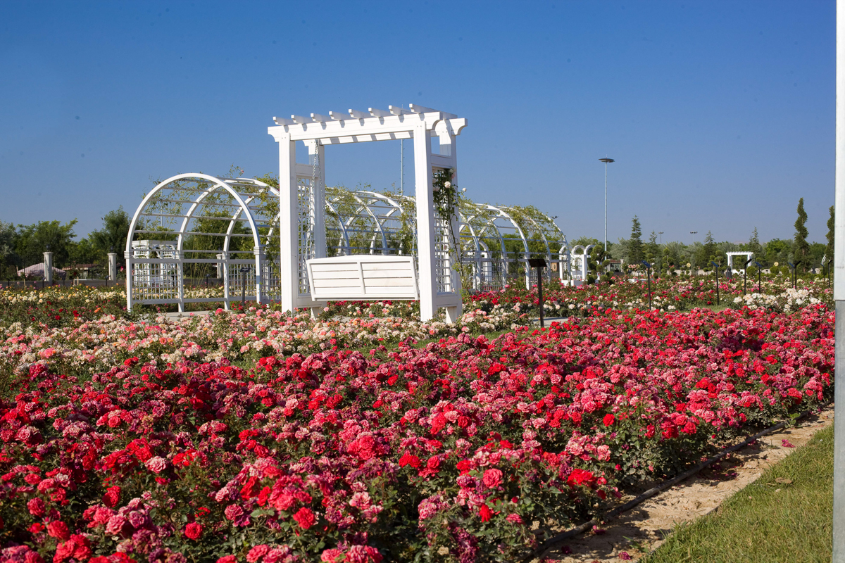 Karatay Mevlana Gül Parkı