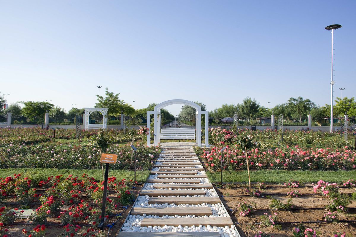 Karatay Mevlana Gül Parkı