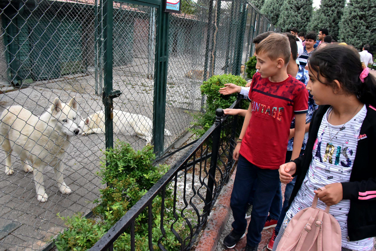 Karatay'ın Seyir Defteri